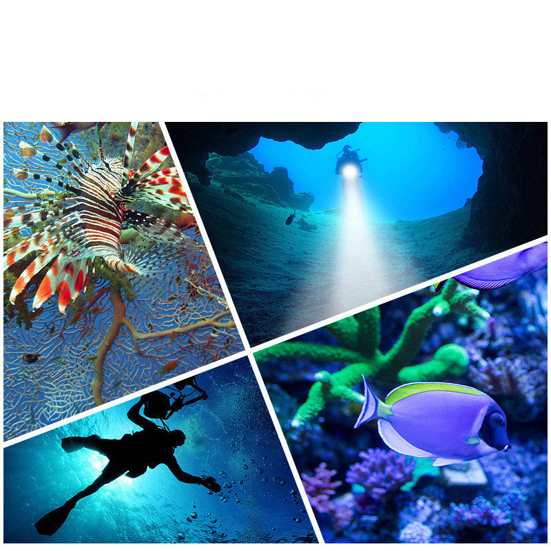 Lens Professional Photography Fill Light